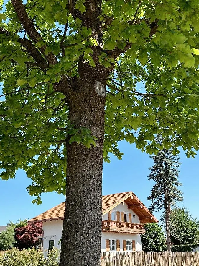 Abrahams Bayr Cottage Schechen Casa vacanze